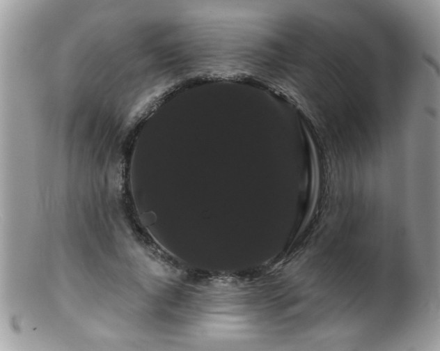 X0000099380736200805151618