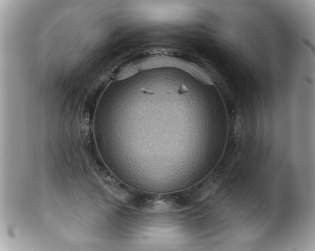 X0000099380737200805151618