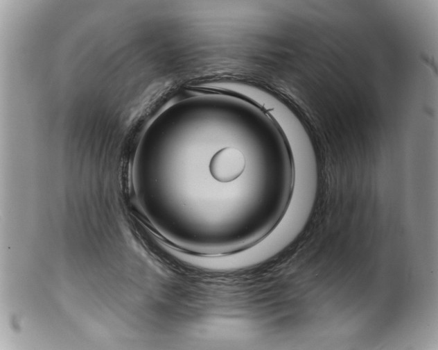 X0000099380738200805151618