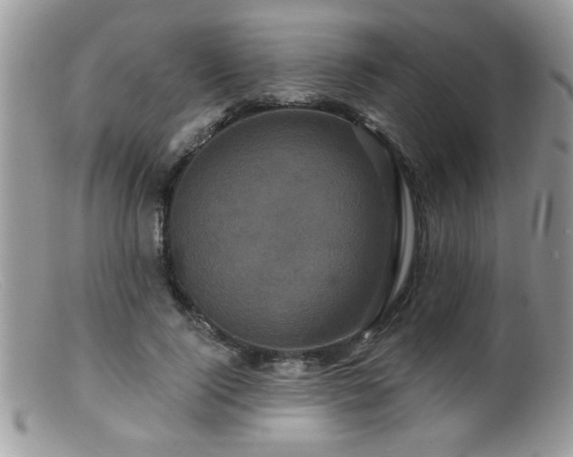 X0000099380740200805151618