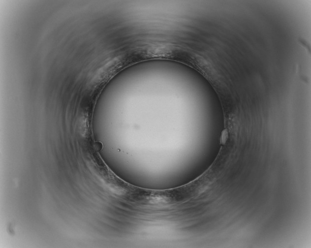 X0000099380741200805151618