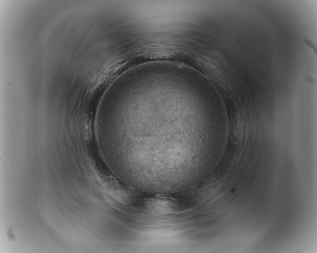 X0000099380743200805151618