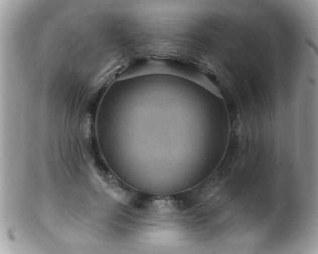 X0000099380744200805151618