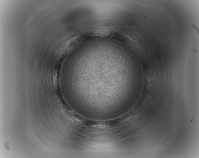 X0000099380745200805151618