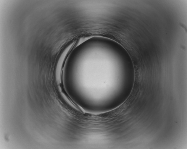 X0000099380746200805151618