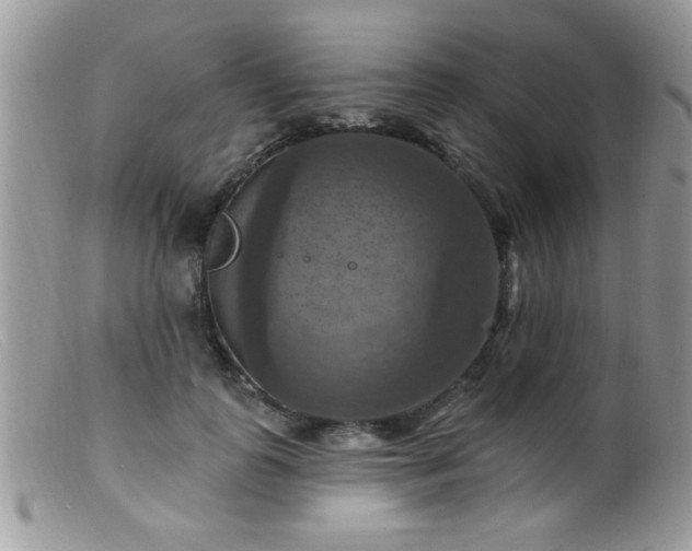 X0000099380747200805151618