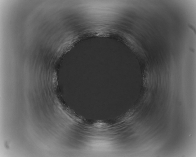 X0000099380748200805151618