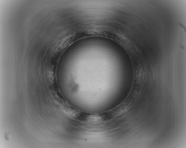 X0000099380749200805151618