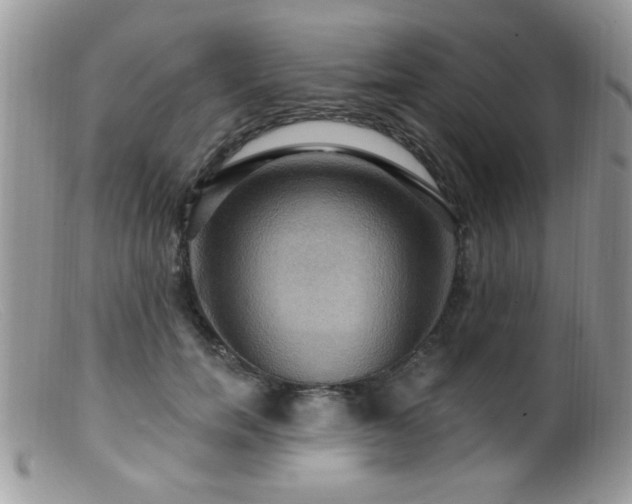 X0000099380750200805151618