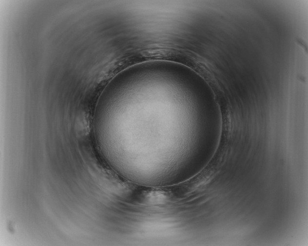 X0000099380751200805151618