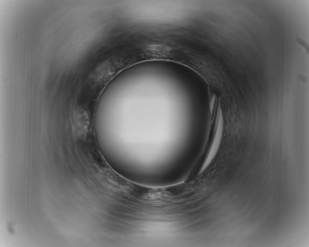 X0000099380752200805151618