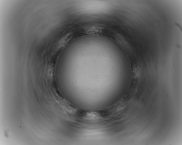 X0000099380753200805151618