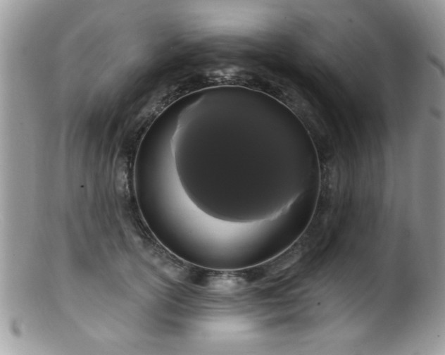 X0000099380754200805151618