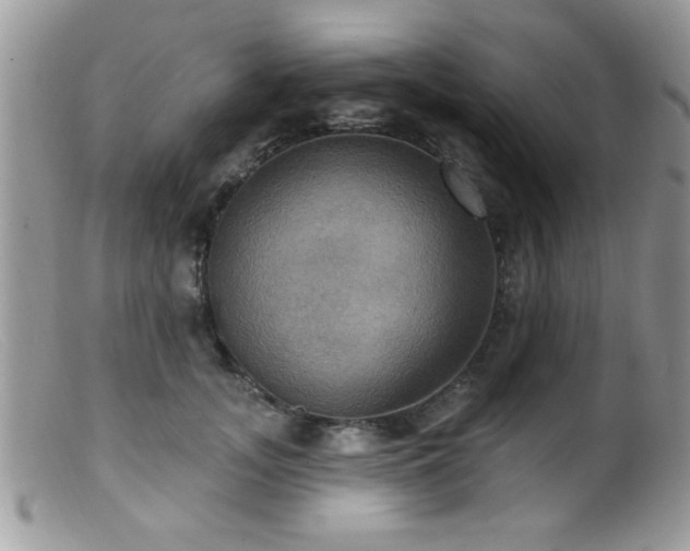 X0000099380755200805151618