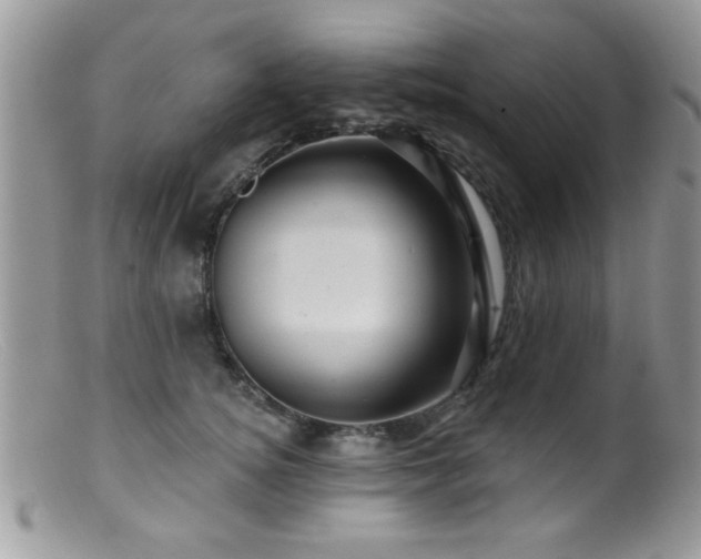 X0000099380756200805151618