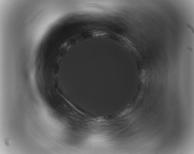 X0000099380763200805151618