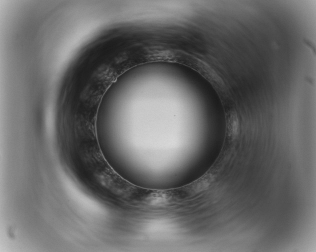 X0000099380764200805151618