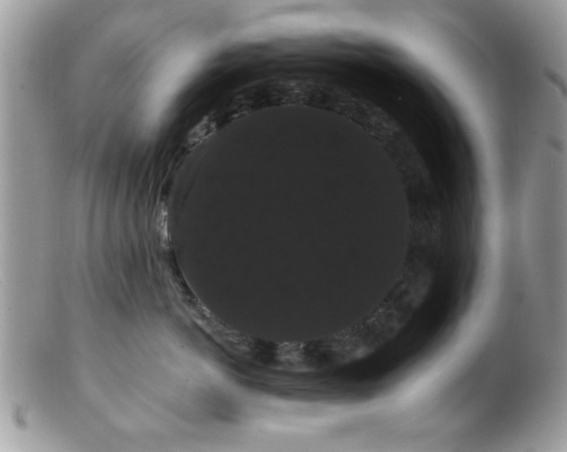 X0000099380766200805151618