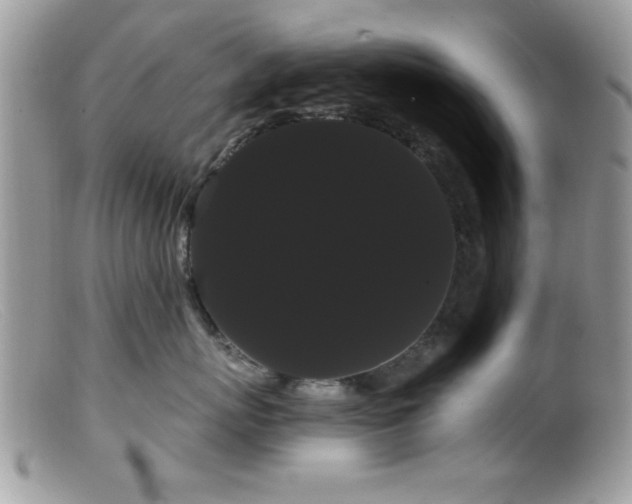 X0000099380767200805151618