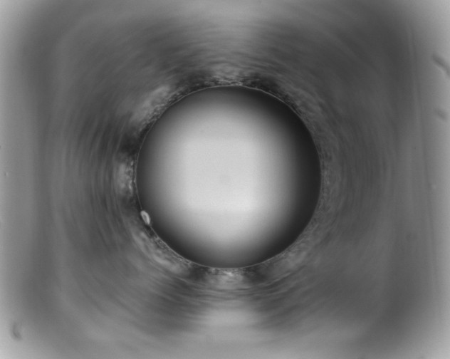 X0000099380768200805151618