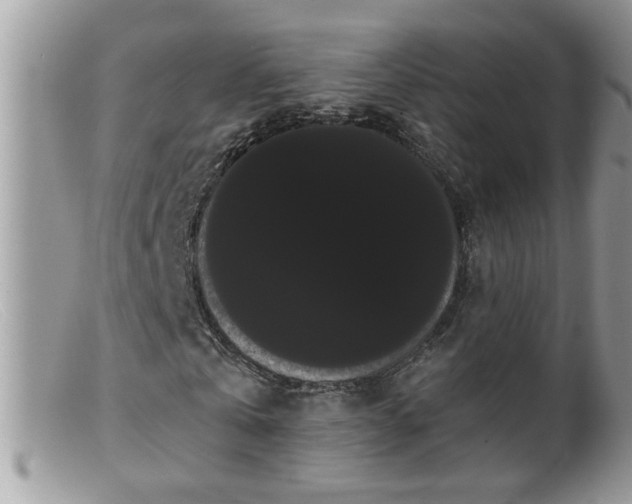 X0000099380769200805151618