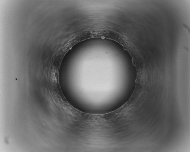 X0000099380770200805151618