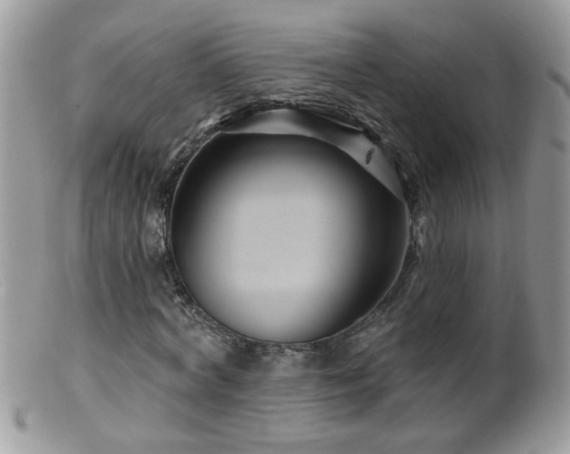 X0000099380772200805151617