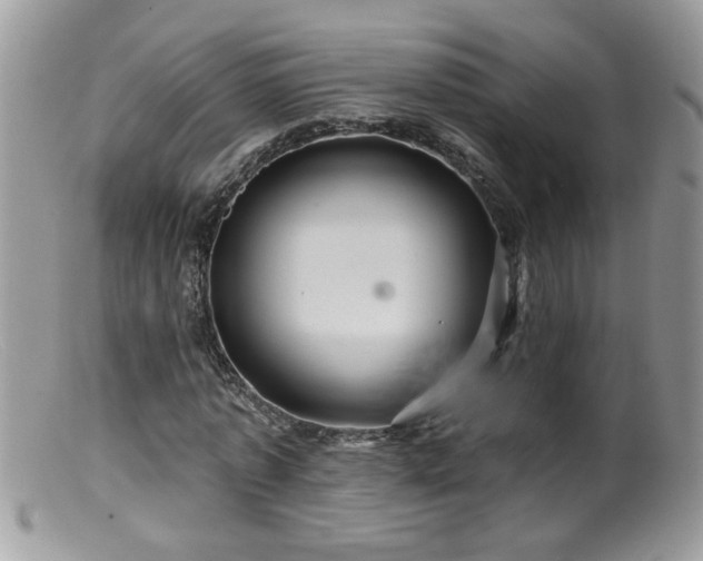 X0000099380773200805151617