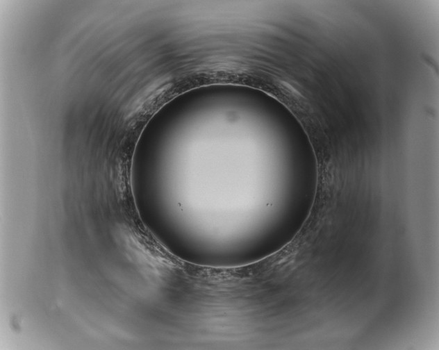 X0000099380774200805151617