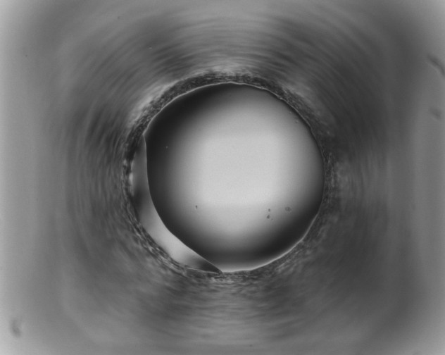 X0000099380776200805151617