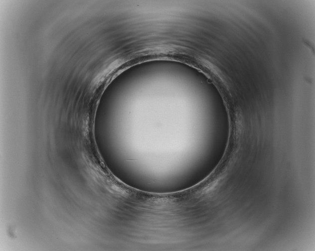 X0000099380778200805151617