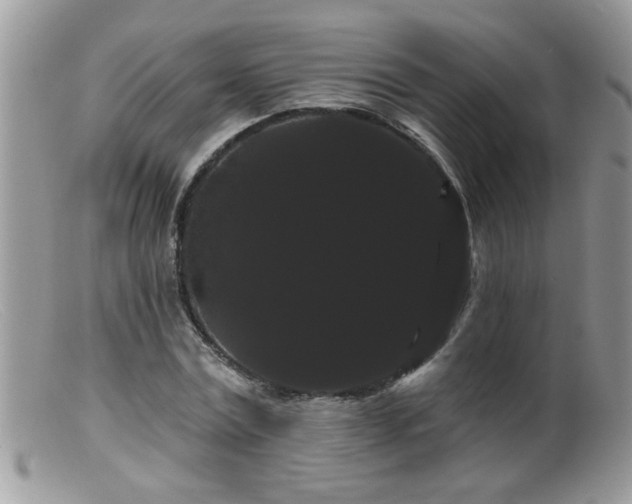 X0000099380779200805151617