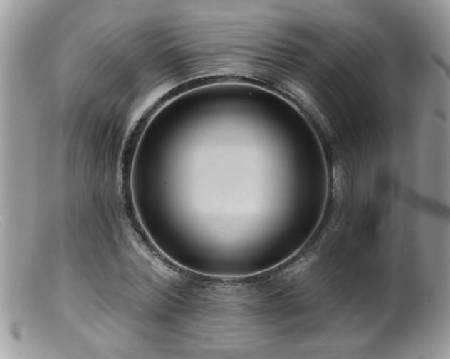 X0000099380780200805151617