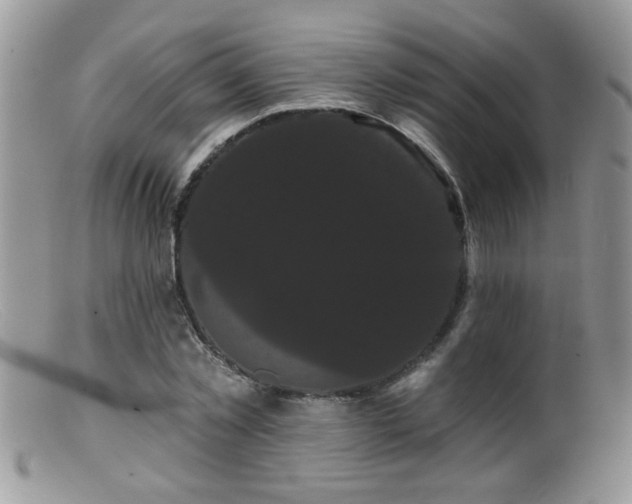 X0000099380781200805151617