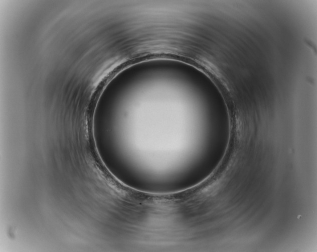 X0000099380782200805151617