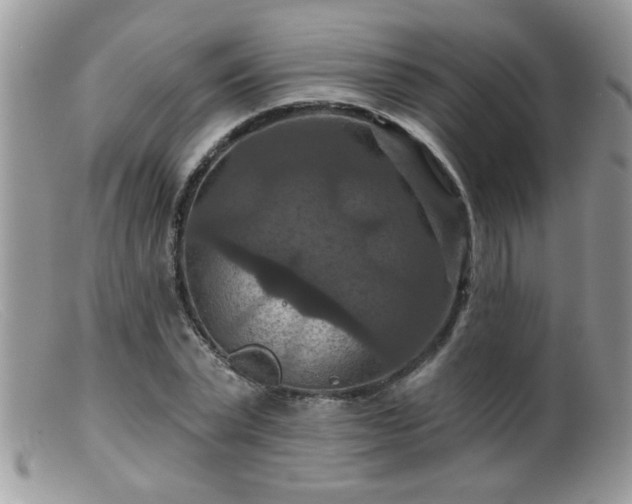 X0000099380783200805151617