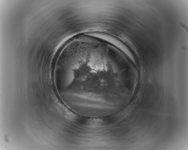 X0000099380784200805151617