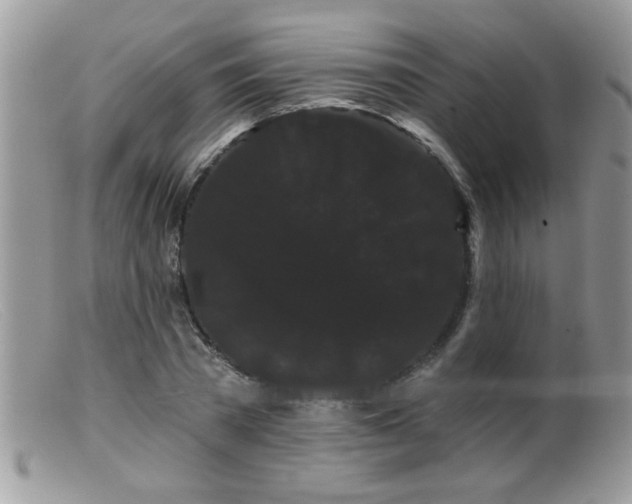 X0000099380785200805151617