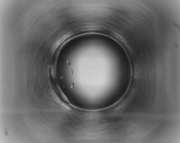 X0000099380786200805151617