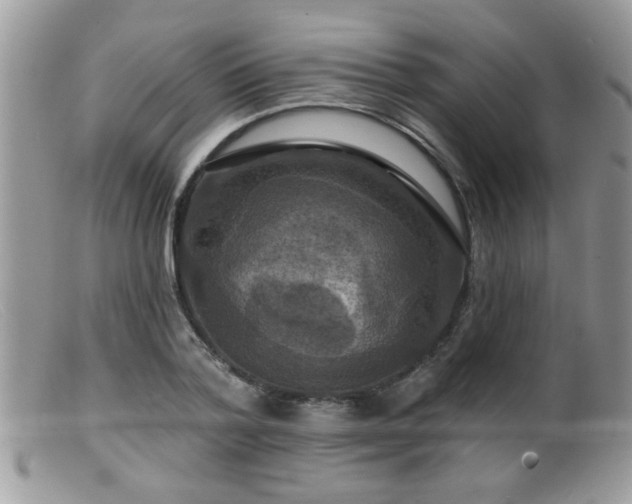 X0000099380788200805151617