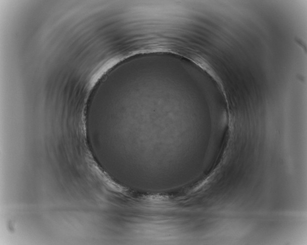 X0000099380789200805151617