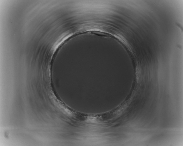 X0000099380790200805151617