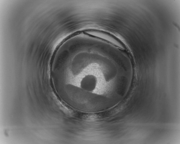 X0000099380791200805151617