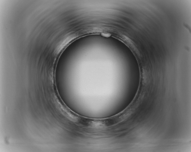 X0000099380794200805151617