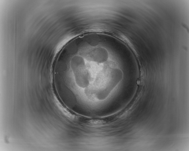 X0000099380795200805151617