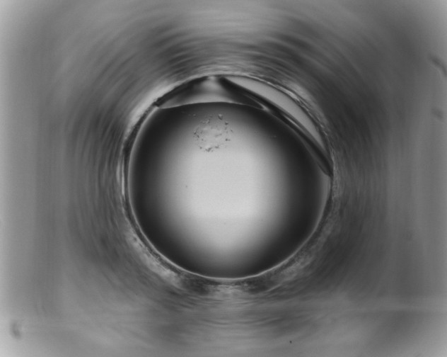 X0000099380796200805151617