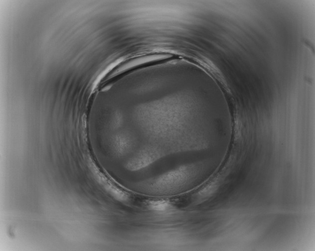 X0000099380798200805151617