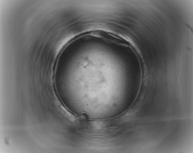 X0000099380799200805151617