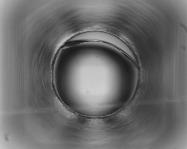 X0000099380800200805151617