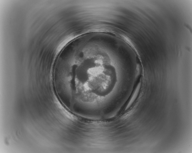 X0000099380803200805151617